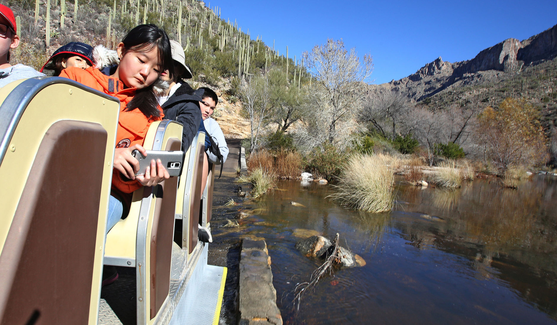 Sabino Canyon Recreation Area, Tucson
